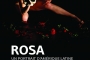 affiches ROSA_web